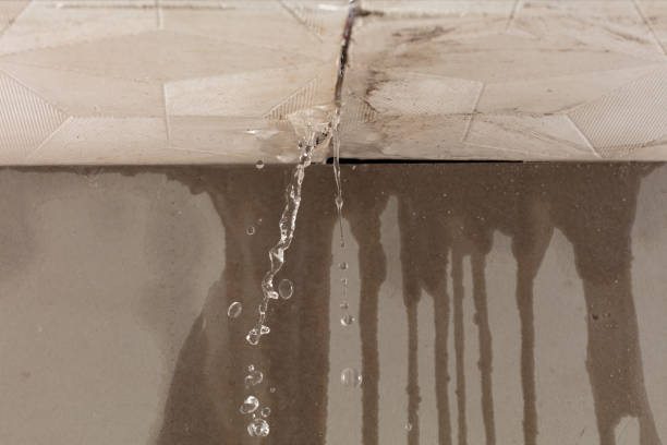 Professional Water Extraction technician working in Irving, TX